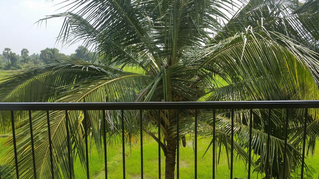 Serene View Tourist Rest Hotell Anuradhapura Eksteriør bilde