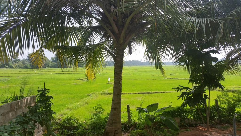 Serene View Tourist Rest Hotell Anuradhapura Eksteriør bilde